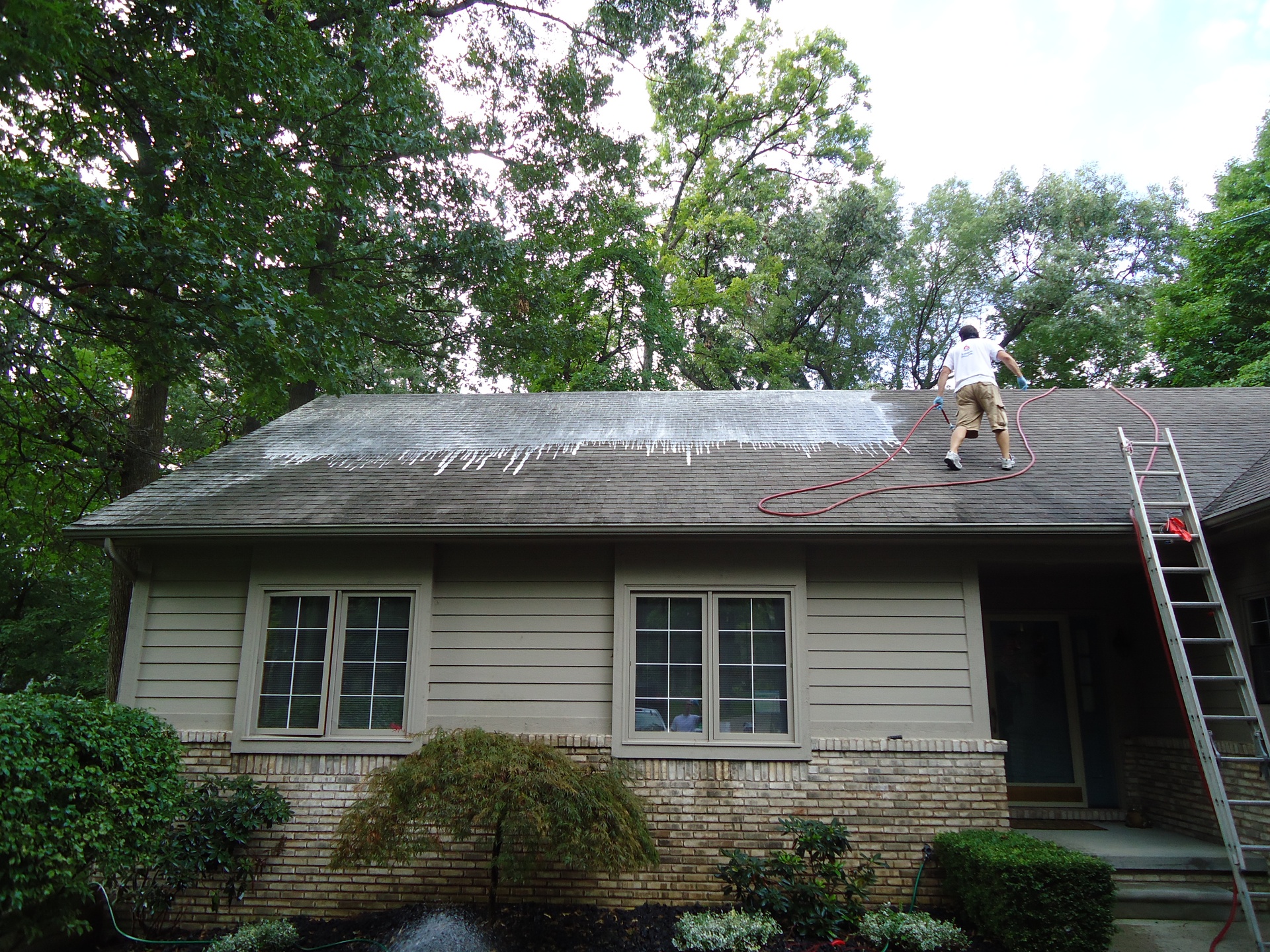 Roof Cleaning